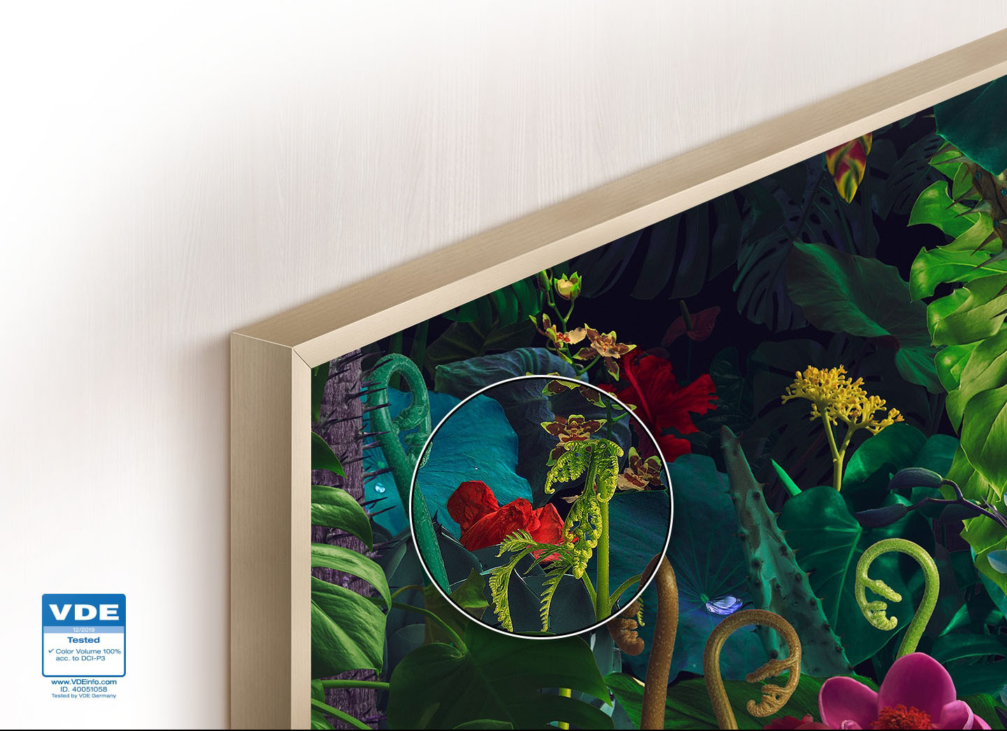 ru-feature-see-the-world-in-qled-technology