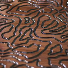 CORTECCIA 0002